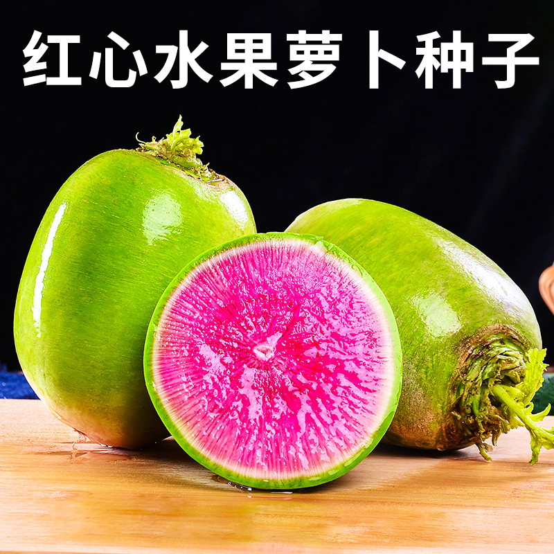 心里美萝卜种子种籽春秋四季播盆栽红心水果萝卜种子蔬菜种籽孑