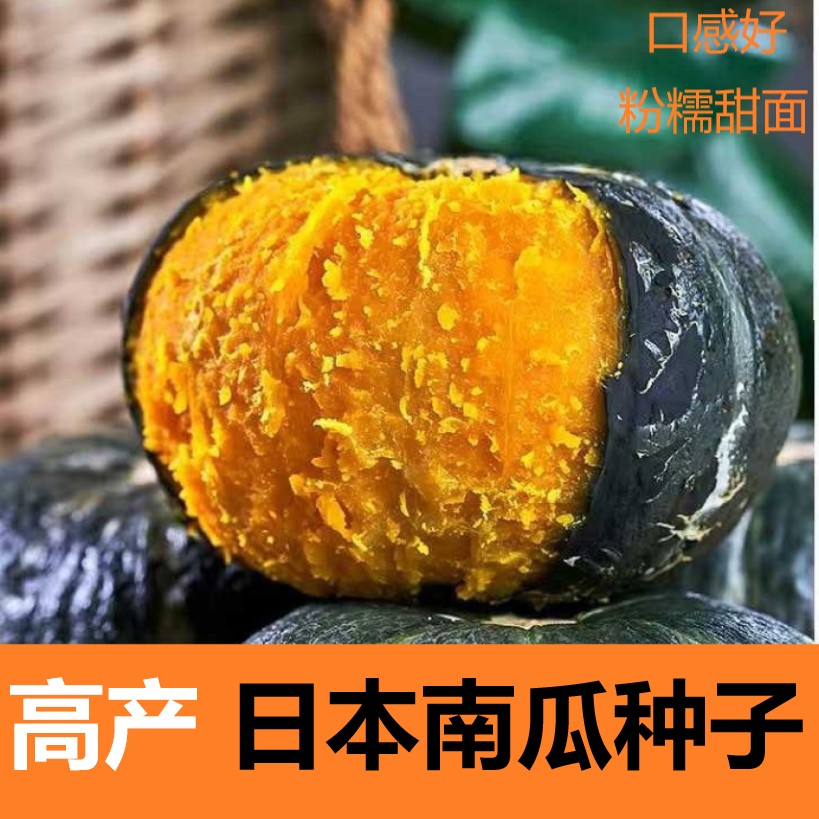 日本南瓜种子贝贝南瓜种籽高产粉糯甜面南瓜种籽四季播蔬菜种子籽