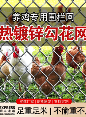 热镀锌铁丝网围栏养鸡圈地网果园鱼塘栅栏家用圈玉米网隔离网围网