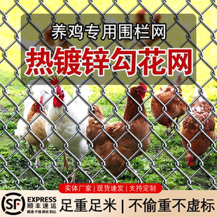 热镀锌铁丝网围栏养鸡圈地网果园鱼塘栅栏家用圈玉米网隔离网围网