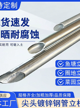 加厚尖头围栏立柱杆镀锌钢管空心圆管标志牌固定支撑杆葡萄架地桩