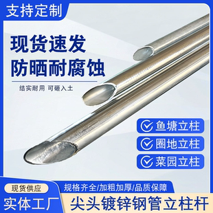 加厚尖头围栏立柱杆镀锌钢管空心圆管标志牌固定支撑杆葡萄架地桩