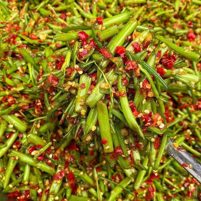 江西辣菜酸辣空心菜腌辣椒下饭菜