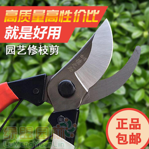台湾德之助修枝剪树枝剪刀采摘水果鲜花园林园艺手剪支剪进口包邮