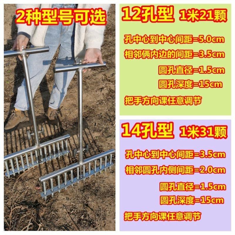 种菜苗工具种葱大葱种植叉子洋葱打眼打洞机移苗栽苗打孔器种菜器