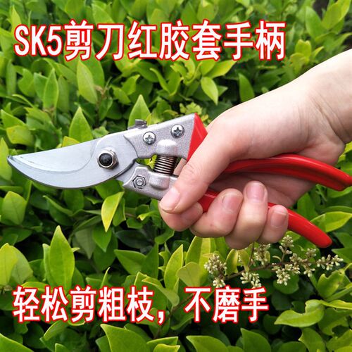 修枝剪修花剪园艺修枝树枝剪刀家用粗枝剪果树花木盆景多功能包邮