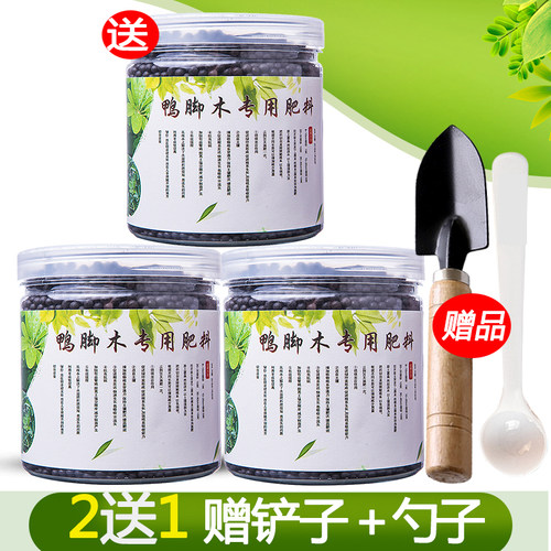鸭掌木营养液摇钱树八方来财鹅掌柴鸭脚木肥料招财树盆栽专用肥土