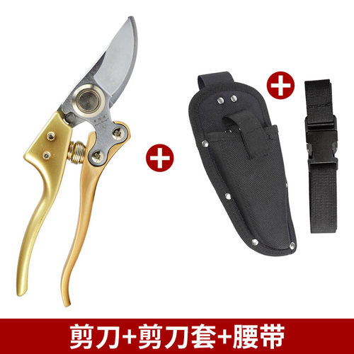 绿化家用修枝剪修花木园林工具园艺剪刀果树剪子粗枝剪花剪树枝剪