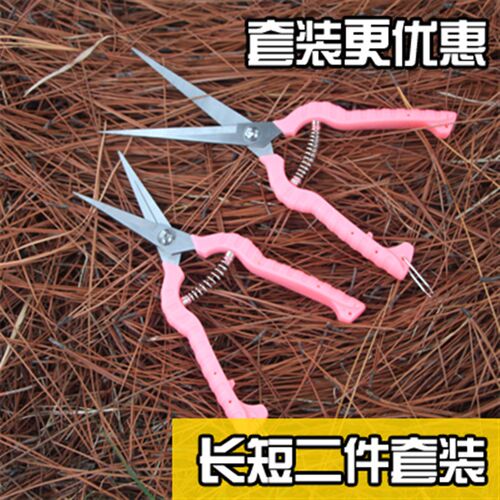 葡萄修枝剪 园艺采果芽剪刀柑橘子修花摘果稀果 剪水果蔬果剪