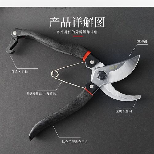 剪枝果树修枝剪刀园艺修剪树枝园林省力修花剪家用进口手动剪子