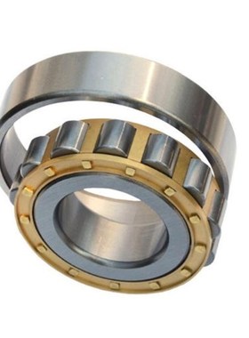 圆柱滚子轴承N213 214 215 216 217 218 219 220 221 222 224EM