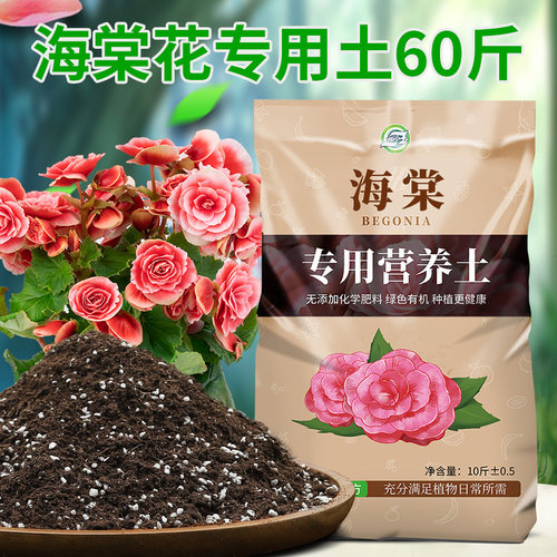 海棠花营养土养花专用土通用型家用盆栽花卉有机泥土花土壤种植土