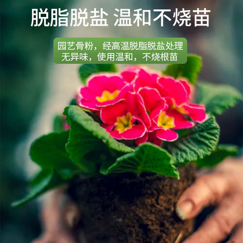 家庭园艺骨粉开花促生长花卉蔬菜果树高磷钙脱脂骨粉通用肥