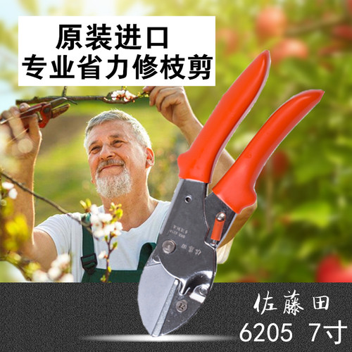 台湾进口修枝剪刀树枝剪果树剪子园艺剪刀园林粗枝剪花剪修枝工具