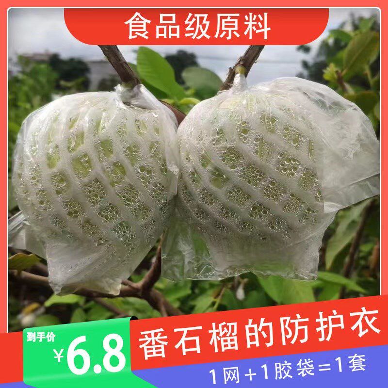 速发番石专石袋网袋芭乐防虫网袋榴用一体泡沫包装袋套榴袋水果网