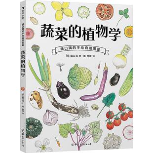 植物学少儿少儿科普345678岁幼儿学龄前儿童小学生一二三年级自主阅读正版 蔬菜 畅销图书籍 手绘自然图鉴 盛口满