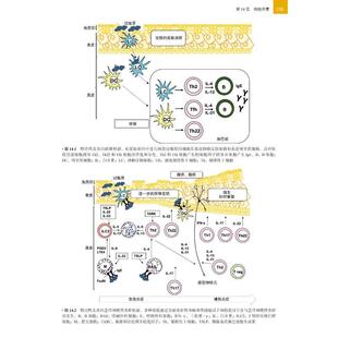 特应性皮炎 由内而外或由外而内?
