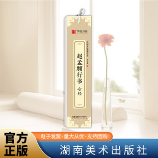 近距离临摹字卡·赵孟頫行书·心经   湖南美术出版社