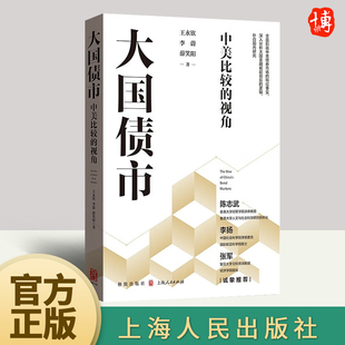 大国债市:中美比较的视角 王永钦 李蔚 薛笑阳 著 上海人民出版社分析总结成熟债券市场与发展中债券市场的经验问题书籍