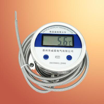 数显温度计带探头WST/DTM491带线高精度耐酸防水数字工业测水温表