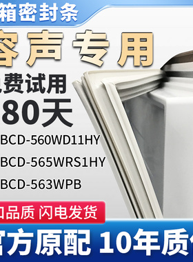适用容声BCD 560WD11HY 565WRS1HY 563WPB 冰箱门密封条胶条皮圈