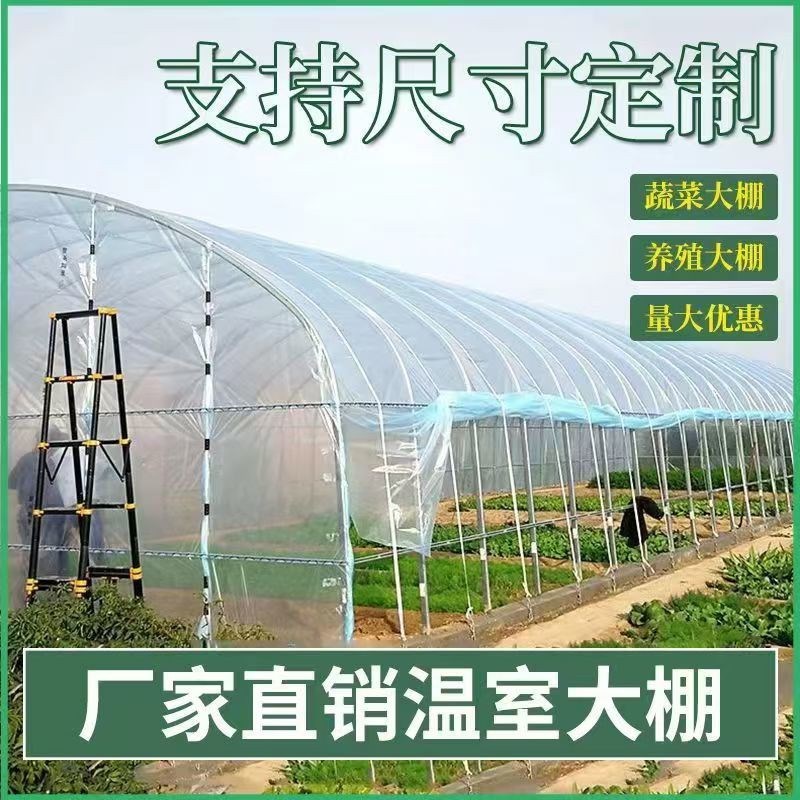 热销种植大棚温室大棚蔬菜v暖棚钢管骨架全套养殖保温鸡鸭鹅连栋
