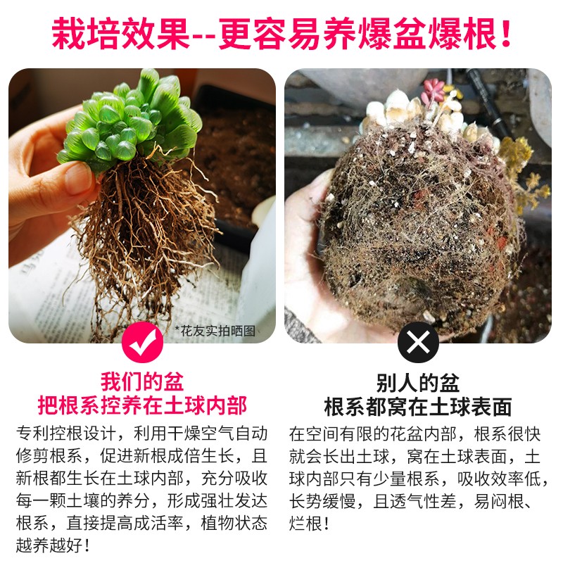 热销美莳多肉花盆套装组合长条z型带托盘控根创意透气塑料肉肉小
