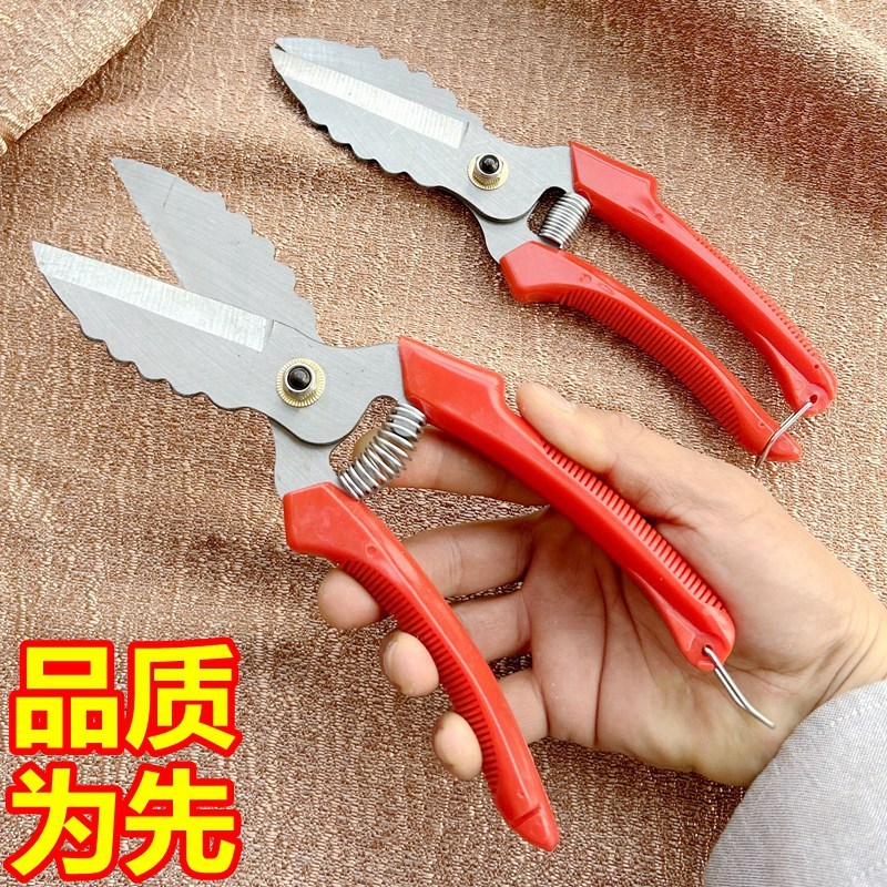 热销剪蒜神器剪子l工具切须去杆机收获削胡机手动人工蒜剪大蒜专