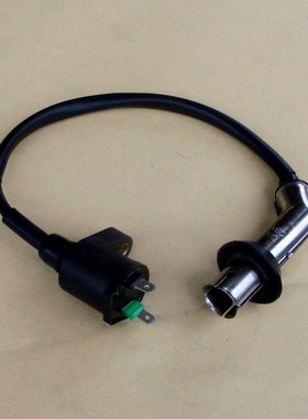 速发W圈100T适用五羊GCC喜悦SCR优悦小公主摩压车点火线H高托包