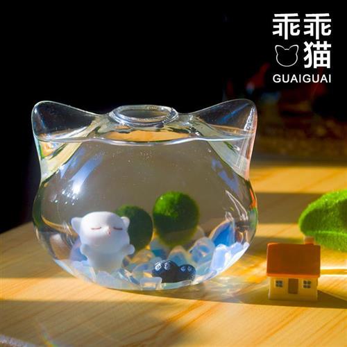速发幸福mimo海藻球微景观创意新奇植物桌面小鱼缸生态瓶可爱头