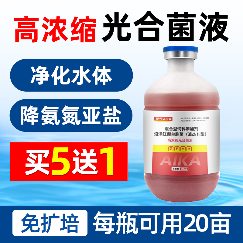 速发高浓缩光合菌液水产养殖鱼虾蟹塘除蓝氮降氨藻亚合光盐免扩培