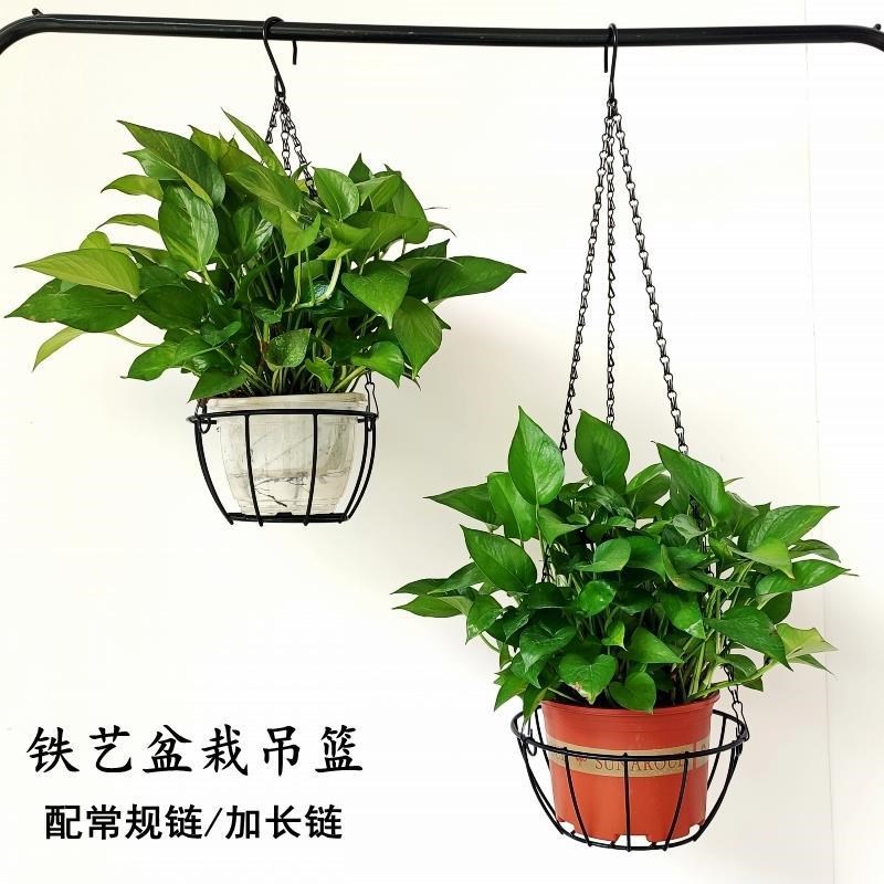 速发花架置物架台简约铁艺吊悬垂吊花盆挂架绿式盆栽挂篮篮挂萝台