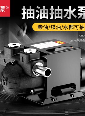 速发音静油泵两用抽水泵1V224V220V伏柴油泵直流油泵抽油器加油机