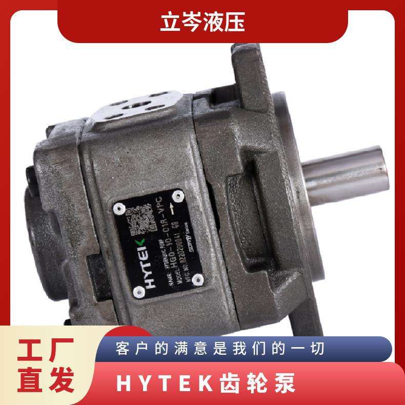 HYTEK齿轮泵HG22-80-80-01R-VPC-D-36 海特克双联泵 高压泵