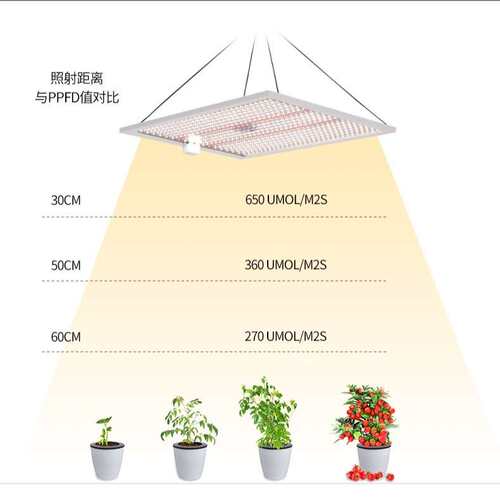 100W量子板植物生长灯叶菜樱桃全光谱大棚花卉补光灯led