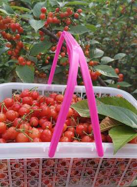 j8塑料水果篮手提斤装篮草莓篮桑葚篮白色蓝莓1篮方篮篮樱桃杨g3