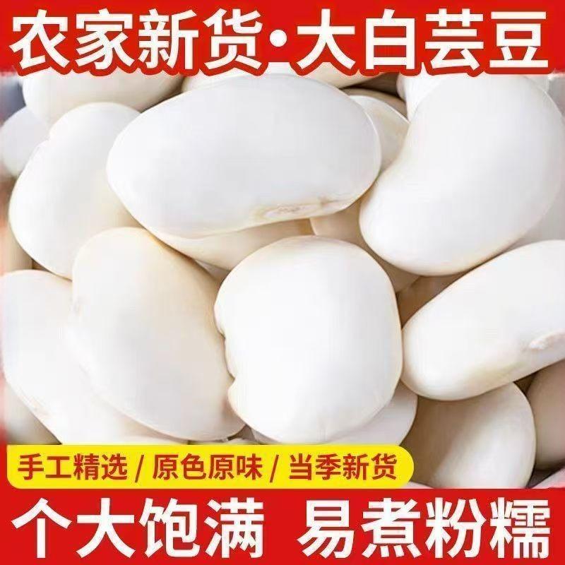 云南大白芸豆新货农家大白豆特产新鲜雪豆子白扁豆大白云豆类干货