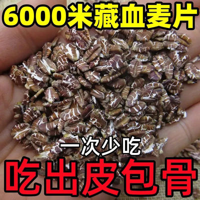 黑燕麦片全胚芽生藏血麦片纯藏血麦燕麦片煮粥血燕麦 包邮