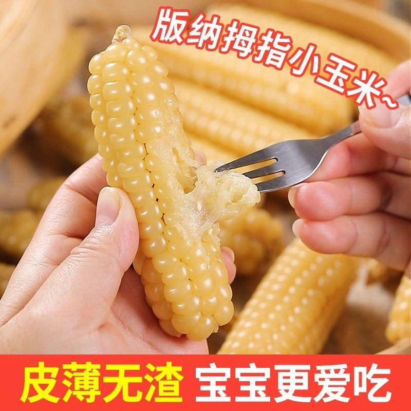 儿童辅食拇指玉米糯玉米健身代餐玉米真空香糯小玉米甜香磨牙棒