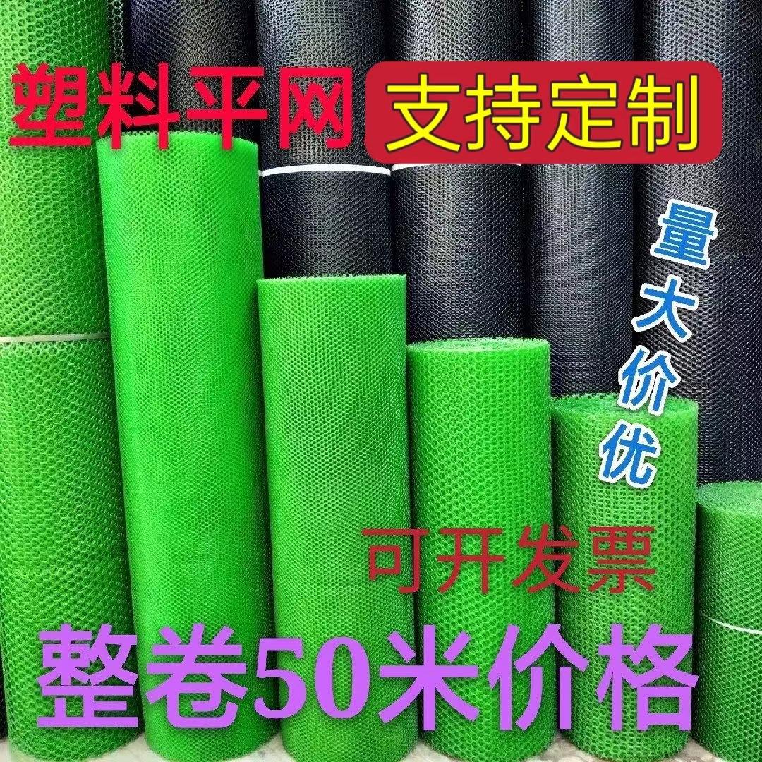 绿色黑色整卷塑料养殖网防坠胶网格脚垫养鸡养鸭育雏漏粪养蜂网