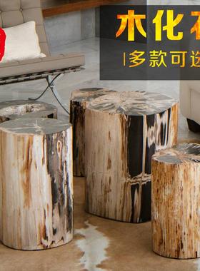 红树林奇石馆木化石凳子客厅样板间沙发边几软装搭配茶几简约现代