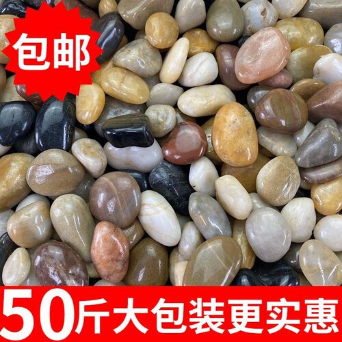 50斤鹅卵石雨花石庭院铺路铺地小石头石子鱼缸花盆装饰造景鹅包邮