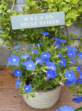 复古做旧铁皮桶套盆绿色字母牌日式花园杂货铁艺悬吊园艺提篮花盆