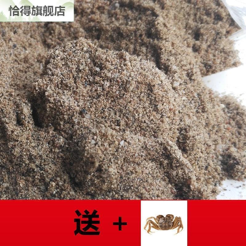 极速天然河沙g鱼缸底沙造景螃蟹养殖细沙粗沙细黄沙沙土乌龟冬眠