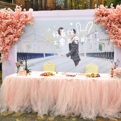 极速.DIY gauze puff decoration tBable skirt yarn birthday pa