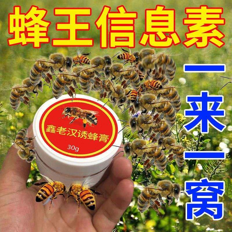 极速新款诱蜜蜂招j蜂水无用就白送招蜂水诱蜂神器收蜂水收捕野蜂