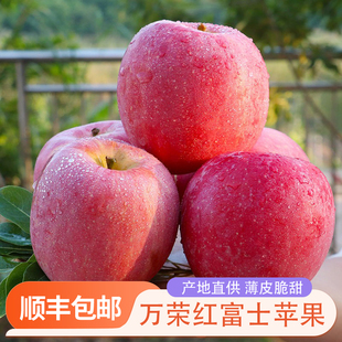 正宗山西万荣红富士苹果皮薄脆甜当季 包邮 新鲜水果礼盒装 顺丰