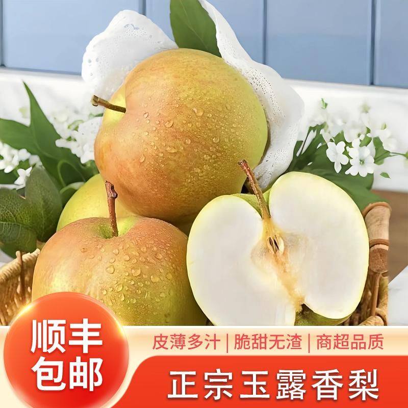 【顺丰包邮】正宗山西隰县玉露香梨皮薄多汁脆甜香梨当季新鲜水果