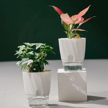 极速自动吸水花盆白色懒人兰花专用桌面虎皮兰树脂W塑料种花养花