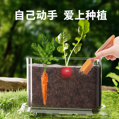 极速科学小实验套装儿童s阳光种植房小学生种菜植物生长观察盒女